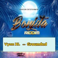 Vynn XL - GROUNDED