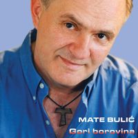 Mate Bulić - Gori Borovina