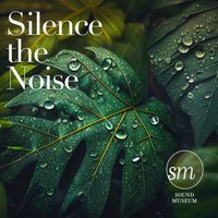 Stefan Zintel - Silence the Noise (This Will Help You Become Your Best Self)