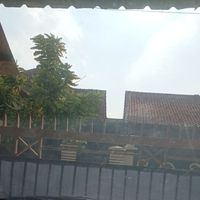 Latoya - Only for love