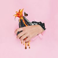 Zaza Fournier - État des lieux