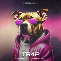 Mauricio Traglia - Tr4P