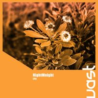 NightMnlght - Life