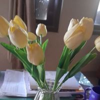 ramzi - Tidak merasa