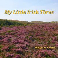 Wolfgang Vrecun - My Little Irish three