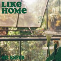 Mr. Käfer - Like Home