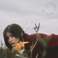 Hanon - Swallowtail Butterfly ～あいのうた～