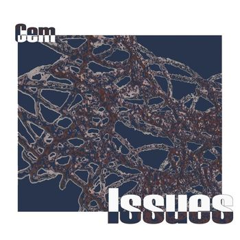 Cem - Issues