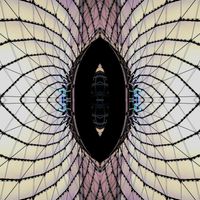 QUBE - ROOM&MATE