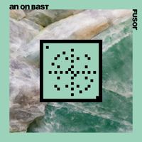 An On Bast - Fusor (20 Years Systematic)