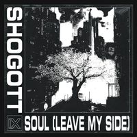 Shogott - SOUL (LEAVE MY SIDE)