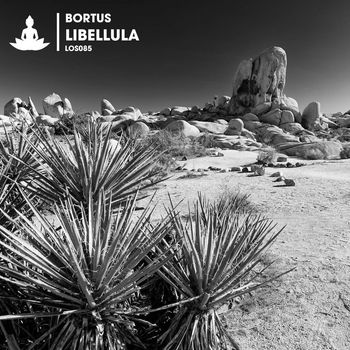 Bortus - Libellula