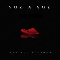Voz A Voz - Nos Equivocamos
