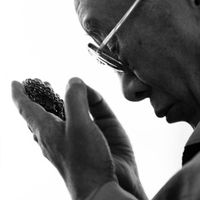 Dalai Lama - Freedom (Instrumental)