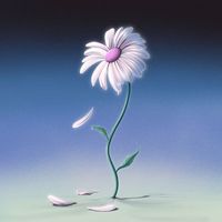 Miami Horror - AURORA/DEAD FLOWERS