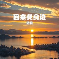 汤莉 - 回来我身边