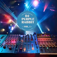 DJ Purple Rabbit - DJ Purple Rabbit, Vol. 1