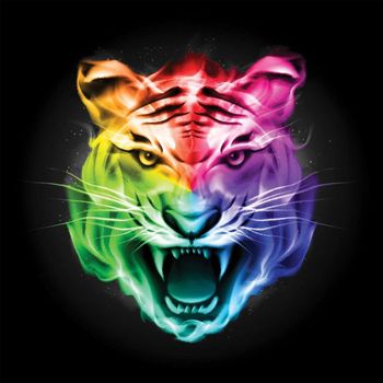 VIBRANT - Only dance