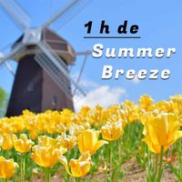 Orquesta Club Miranda - Summer Breeze
