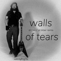 al l bo - Walls of Tears (Al L Biber Remix)