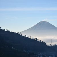 Lipo - Beautiful intimacy