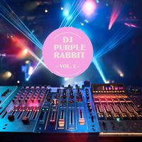 DJ Purple Rabbit - DJ Purple Rabbit, Vol. 2