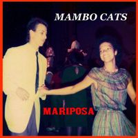 Mambo Cats - Mariposa