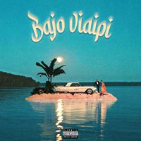 Mark Adams - Bajo viaipi