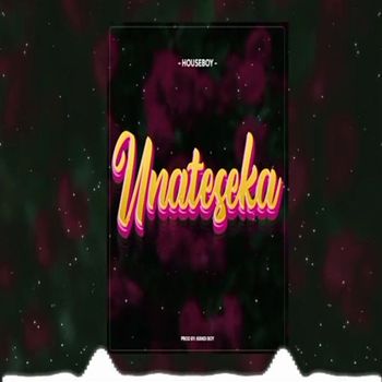 Houseboy - Unateseka