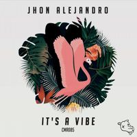 Jhon Alejandro - It's a Vibe