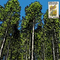 Trask River Redemption - Old Wounds