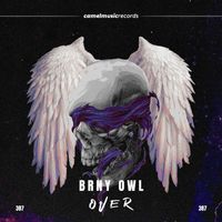 Brny Owl - Over