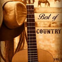 Barbara Fairchild - Best of Country, Vol. 1