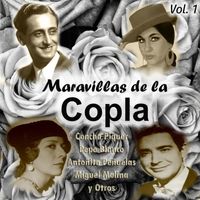 Miguel De Molina - Maravillas de la Copla, Vol..1