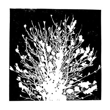 Future State - Autumn