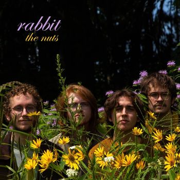 The Nuts - Rabbit