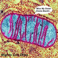 John Tabacco - Miss My Sister