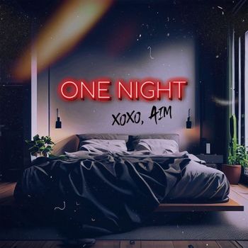 AIM - One Night