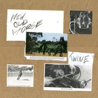 Twine - New Old Horse (Explicit)