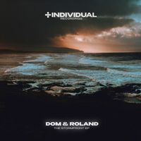 Dom & Roland - The Stormfront