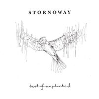 Stornoway - Farewell Appalachia (Unplucked)