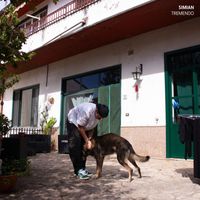 Simian - TREMENDO (Explicit)