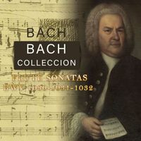 Trevor Pinnock - Bach Collection, Flute Sonatas BWV 1030