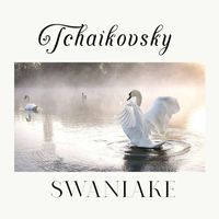 London Symphony Orchestra - Tchaikovsky, Swanlake
