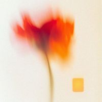 Dive - where you at
