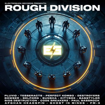 Various Artists - Rough Division