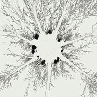 Aja - Variations sur Absolune