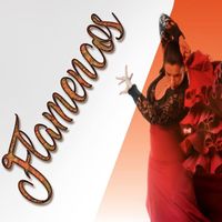 Canalejas De Puerto Real - Flamencos