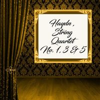 Caspar Da Salo Quartet - Haydn_ String Quartets Nos. 1, 3 & 5