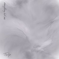Tulip - everything but me